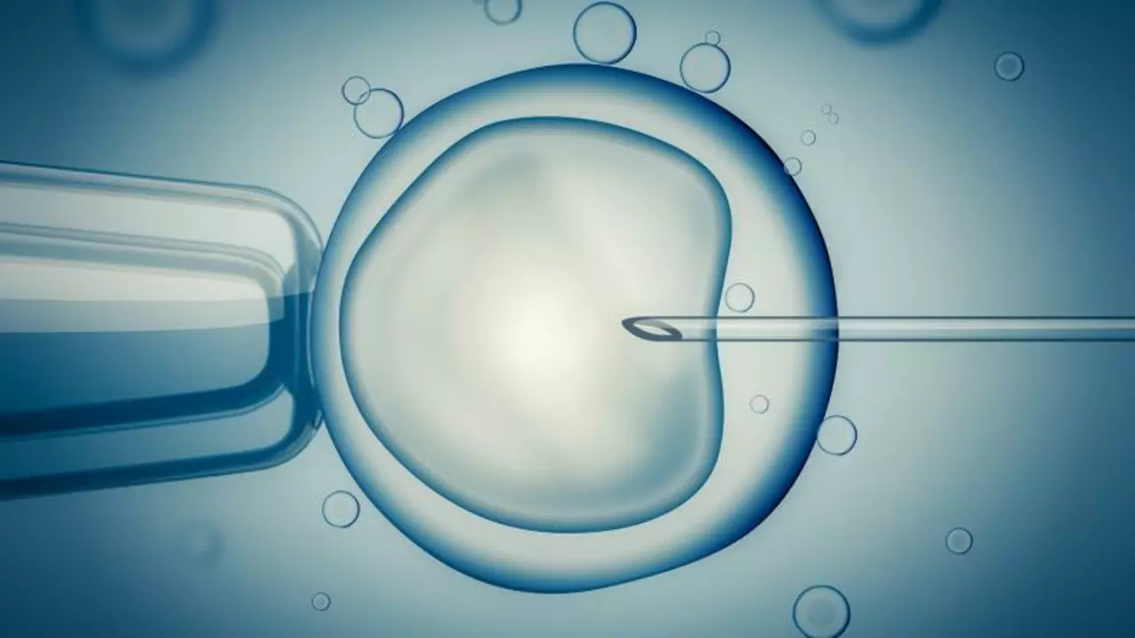 5 Stages of IVF: What Really Happens Step by Step