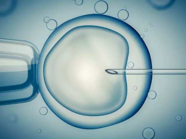 5 Stages of IVF: What Really Happens Step by Step