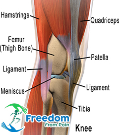 Knee Pain Treatment – Freedomfrompain.in